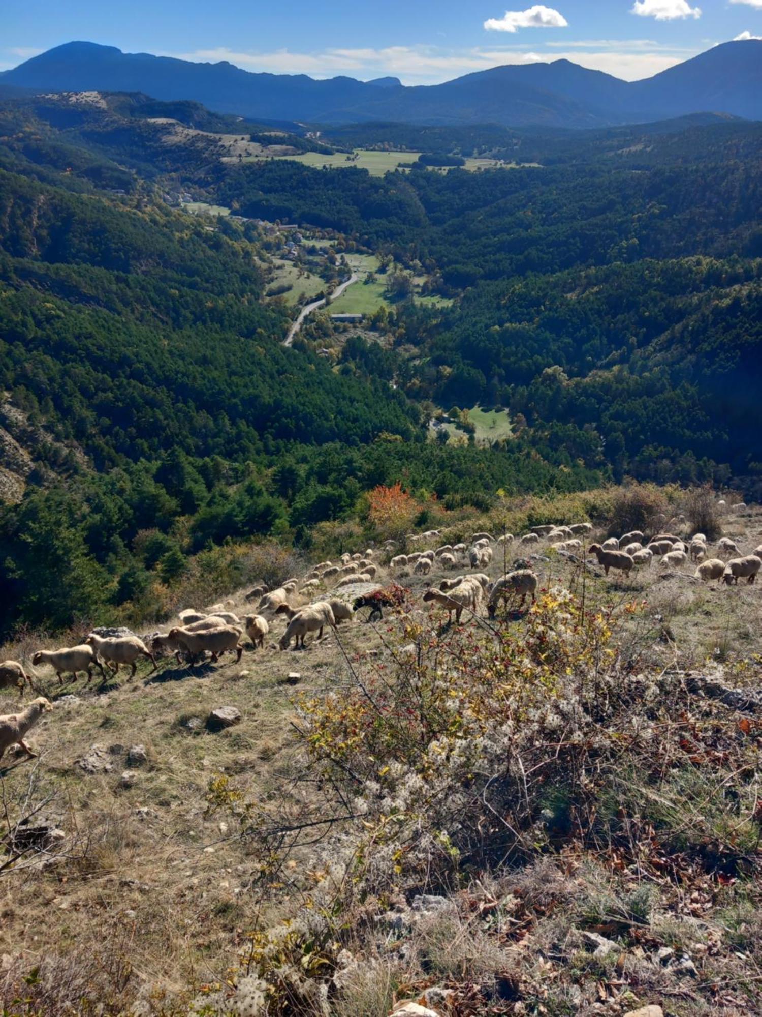 Gite La Mountagna Peyroules Exteriör bild