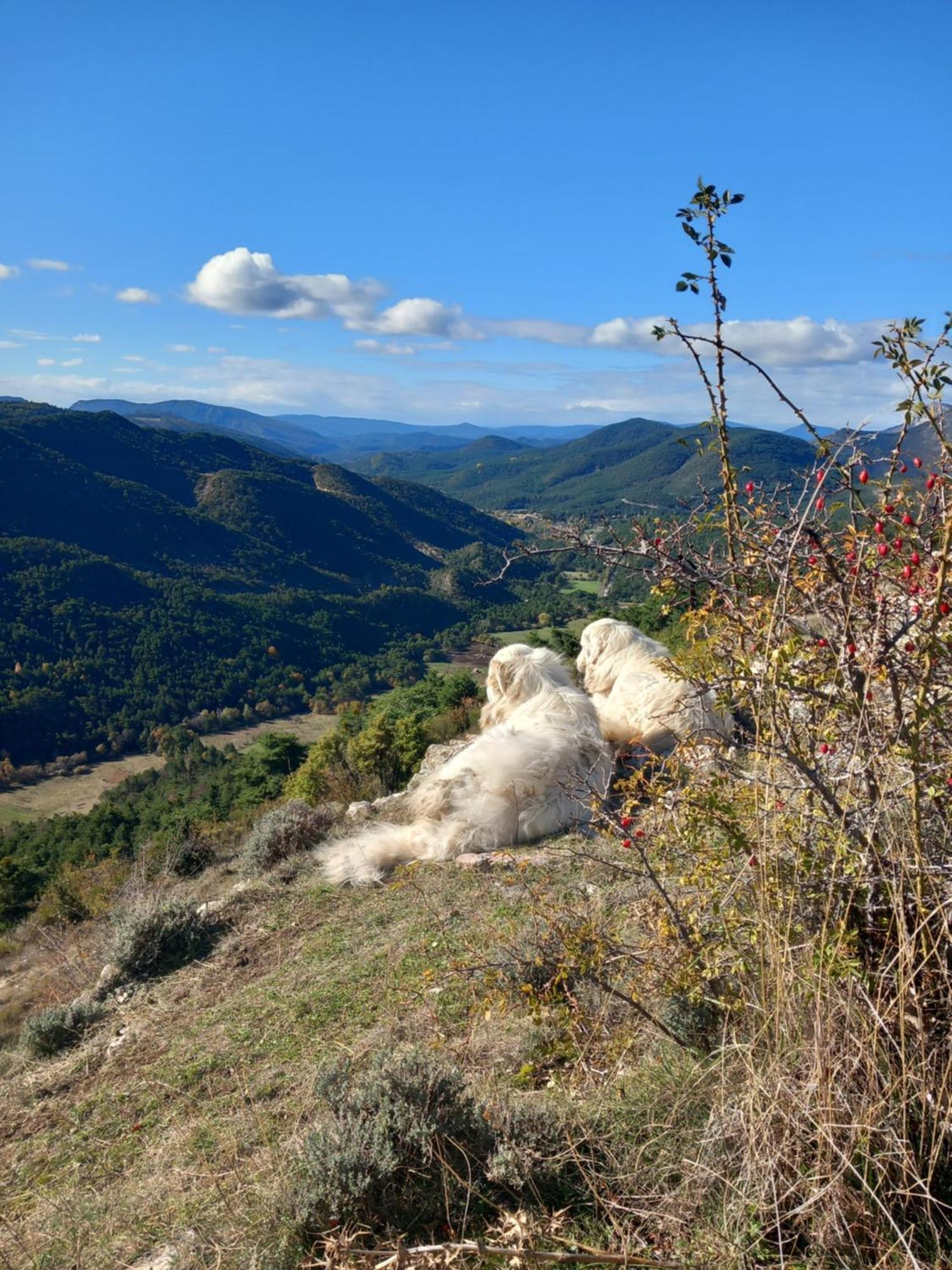 Gite La Mountagna Peyroules Exteriör bild